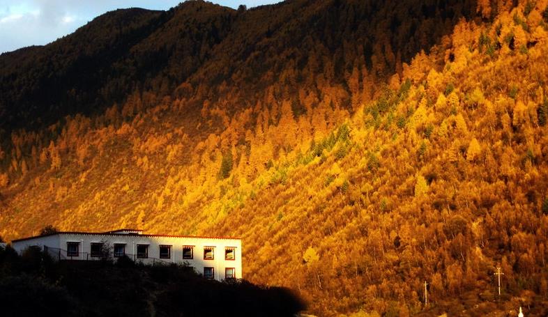 成都、四姑娘山、長坪溝3日自駕游