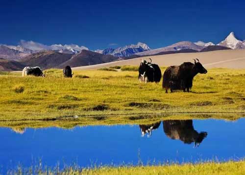 成都包車去拉薩